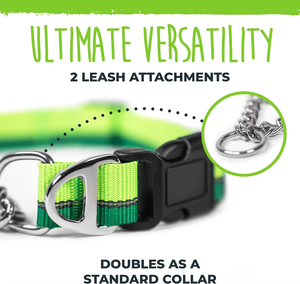 <span class=keywords><strong>Collar</strong></span> de Perro Martingale NiBao, Superventas, Ajustable, de Nailon, Antiladridos, de Acero Inoxidable - Product Image 2