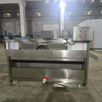 Industriële suikerrietwasmachine van roestvrij staal, suikerrietreinigings- en schilmachine, industriële fruitreinigingsmachine