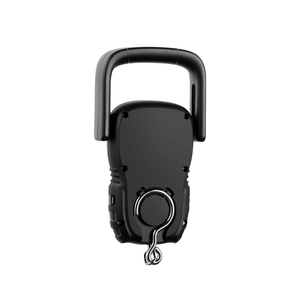 हॉट सेलिंग 110lb 50kg इलेक्ट्रॉनिक हैंडल हैंग वजन मापने वाले टेप सामान पैमाने पर मछली पकड़ने का पैमाना हुक के साथ डिजिटल - Product Image 6