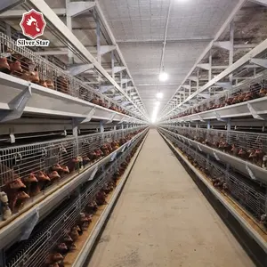 Design Automatic Poultry Farm H Type battery layer cage layer chicken cage for Nigerian Farm