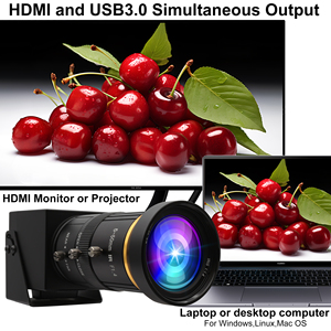 กล้อง <span class=keywords><strong>USB</strong></span> ขนาดเล็ก 4K พร้อมซูม 10 เท่า 60fps H.264/MJPEG รองรับ HDMI และ <span class=keywords><strong>USB</strong></span> 3.0 สำหรับการตรวจสอบและบันทึกภาพสด - Product Image 5