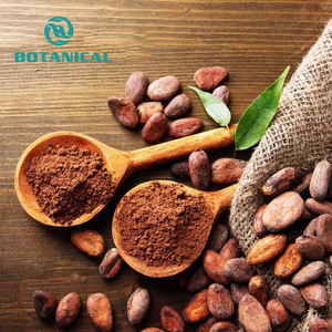 Chất lượng cao tan trong nước ca cao màu nâu sắc tố cấp thực phẩm phụ gia nhuộm sô cô la nâu - Product Image 1