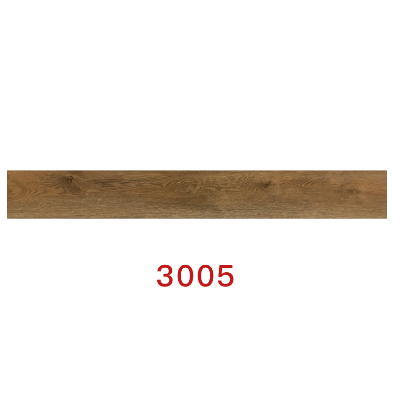3005