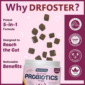 Probióticos para Perros con Prebióticos, Marca Privada OEM ODM, Promueve un Microbioma Intestinal Equilibrado, Refuerza la Salud Inmunológica, Masticables Blandos - Product Image 6