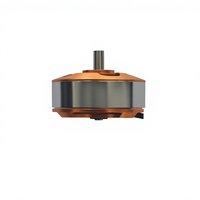 Motor Brushless BLDC 2212 untuk Peralatan Rumah Tangga Model Pesawat Drone Motor DC Brushless 12V UAV