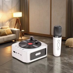 Microfono Karaoke Vintage per Famiglia, Giradischi Portatile con Due Microfoni Wireless, Altoparlante per Feste Musicali - Product Image 3