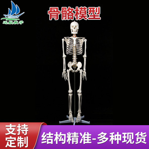 180cm - Product Image 5