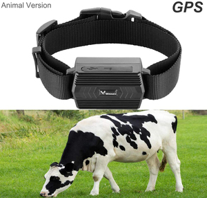 Collar Localizador GPS Inteligente Antipérdida para Mascotas, Diseño Nuevo 2025, 4G, Recargable, con Seguimiento en Tiempo Real de la Actividad del Animal, TKSTAR TK935, Venta al Por Mayor - Product Image 3