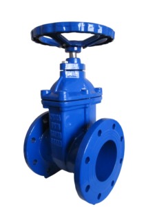 Válvula de Compuerta de Hierro Dúctil DIN PN16 de 2 Pulgadas con Volante Manual, Sin Vástago, Sello Suave para Agua DIN3352, Hierro Dúctil PN16 DN50-600mm 2in - Product Image 5