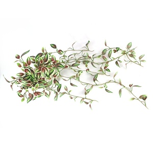 Pianta Artificiale Pendente Variegata Lunga 70cm, Simulazione Foglie Occipitale - Product Image 5