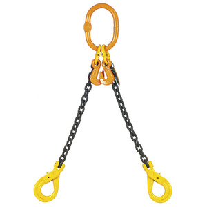 Cadenas de elevación PDC2 de 2 piernas con ganchos para aplicaciones de elevación - Product Image 1