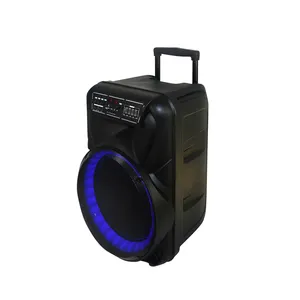 Temeisheng TMS-1505 Partybox динамик с модным светом, длительный срок службы батареи, поклонение в день восхода в походе или игра в гимны