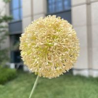 LO-29 Fleurs artificielles d'allium de haute qualité de 66 cm, fausses boules d'œillets et d'oignons, tiges florales décoratives pour la décoration de mariages, de maisons et d'événements