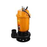 WQ série 5hp 7.5hp 10hp 15hp 20hp 25hp 30hp 75hp agricole Intérieure portable pompe à eaux usées submersible