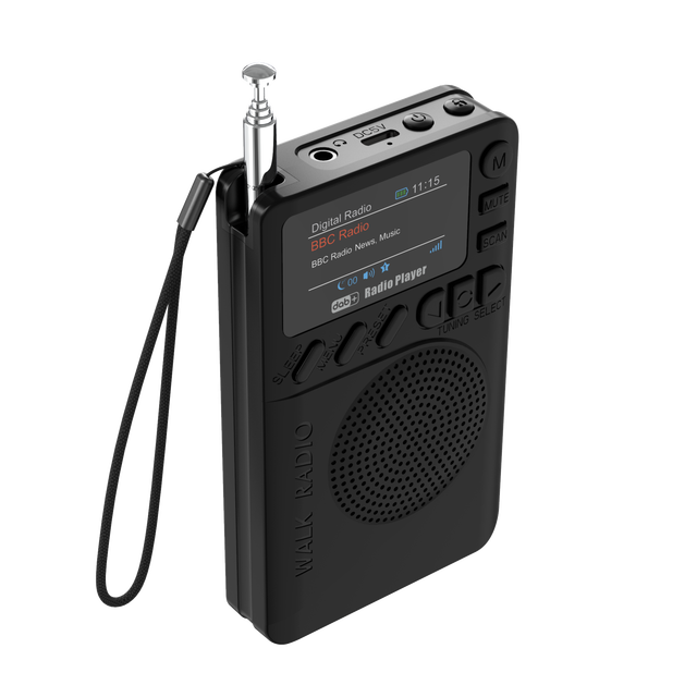 Portable FM/DAB+ Digital Radio Rechargeable Battery Built-in Speaker LED Display for MP3 Player Function Time Display Plastic