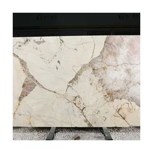 Brazil Patagonia Transparent Marble Slab