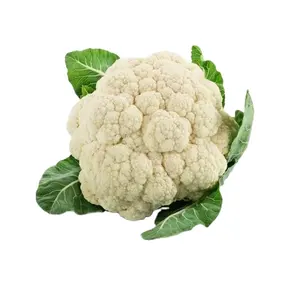 Vietnam Agriculture Product Fresh Cauliflower Fresh Food
