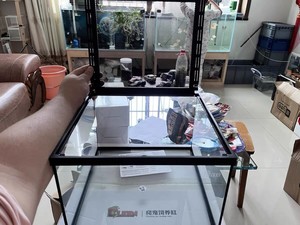 Terrario per rettili in vetro 360 ° HD: involucro traspirante All-in-One per draghi barbuti e altri rettili - Product Image 3