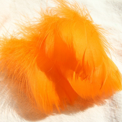 colorful Tangerine yellow