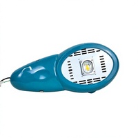 Lampe de rue LED ovale à dissipation thermique optimale, COB, IP66, étanche, pour éclairage routier extérieur