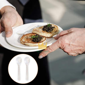 Cuchara de Nácar Personalizada Moderna y Ecológica para Caviar, Helado y Fiestas, Precio Bajo, Gran Venta - Product Image 6