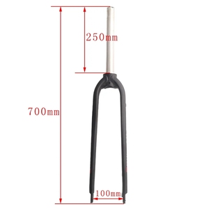 Fourche rigide de vélo de montagne HASSNS MD5, en alliage d'aluminium ultraléger, 26/27,5/29 pouces, frein à disque, fourche avant 100 mm - Product Image 6