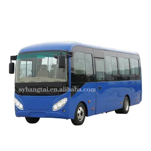 China Groen Zero Emissie Bevs Stadsbus 2000nm Motor Kilometerstand 250-300Km 25 Passagiersstoelen