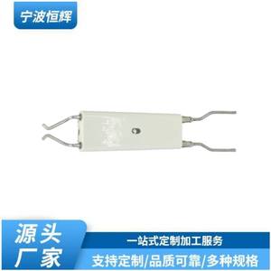 Encendedor de Energía con Aislamiento Cerámico de Electrodo 2021129 con Cables de Alúmina Integrados para Estufa - Product Image 5