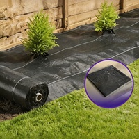 Rouleaux de bâche anti-mauvaises herbes en PEHD robuste, stabilisés aux UV, perméables et résistants à la déchirure, pour couverture de sol agricole et cultures.