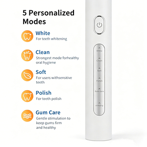 Ensemble de blanchiment des dents <span class=keywords><strong>et</strong></span> de soin des gencives Eisler, <span class=keywords><strong>brosse</strong></span> à dents sonique <span class=keywords><strong>et</strong></span> irrigateur <span class=keywords><strong>dentaire</strong></span>, rechargeable par USB, IPX7, OEM personnalisé - Product Image 2