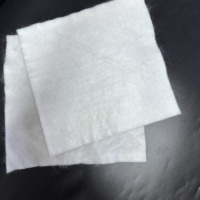 Géotextile en tissus filamentaires de haute qualité pour le renforcement, la séparation et le drainage des routes, des voies ferrées, etc.