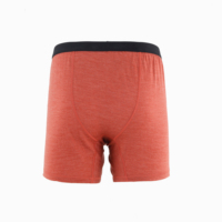 Sous-vêtements pour hommes en laine mérinos de style décontracté avec taille élastique, séchage rapide, respirant, antibactérien, respectueux de l'environnement