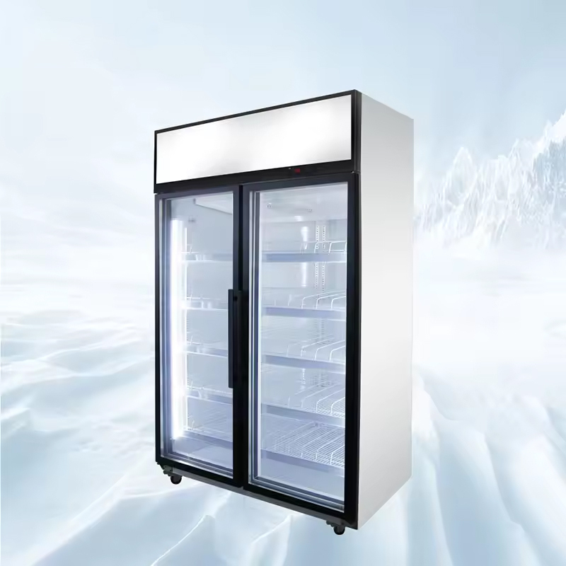 High Quality Commercial Air Cooled Freezer