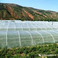 Filet anti-insectes en HDPE stabilisé aux UV, écologique, pour serre agricole, lutte antiparasitaire, largeur personnalisable pour potager