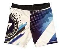 Conception personnalisée professionnelle formation courte Dry-Fit Run musculation marque Fitness Gym hommes vêtements de Sport Shorts