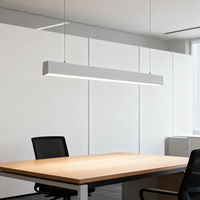 Lumière linéaire à spectre complet à CRI élevé, dimmable, DC24V, lumière linéaire LED pour bureau, pour projet commercial, décoration intérieure