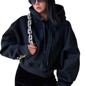 Sudadera con Capucha para Mujer, Manga Larga, Otoño Invierno, Ropa de Calle, Logotipo con Transferencia Térmica, OEM - Product Image 3