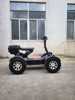 Scooter Eléctrico ATV Quad 60V 60Ah 4x2500W con Tracción en las Cuatro Ruedas, 55 km/h, Carga de 300 kg, Plegable, Impermeable, Digital, Todoterreno para Adultos