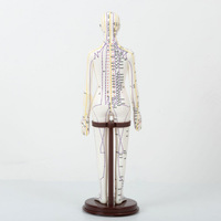 Modèle de points d'acupuncture avec structure du corps humain - Simulateur d'entraînement à l'aiguille en PVC pour l'apprentissage de la médecine traditionnelle chinoise