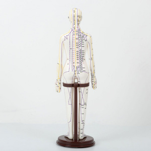 Modello di Punti di Agopuntura con Struttura del Corpo Umano - Simulatore di Addestramento con Ago in PVC per l'Apprendimento della Medicina Tradizionale Cinese - Product Image 4