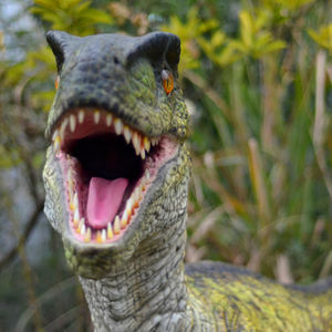Dinosaurio robótico Animatronic <span class=keywords><strong>Blue</strong></span> Lizard <span class=keywords><strong>Velociraptor</strong></span> para Parque de Atracciones - Product Image 4