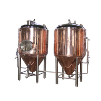 Fermenteur Conique en Acier Inoxydable à Double Paroi 200L 300L 500L 1000L pour Brassage de Bière avec Trappe Latérale ou Supérieure