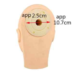 Korea Competitive Product High Quality Wholesale <b>Head</b> Mannequin Eyelash Extension Beginner <b>Training</b> Set - Product Image 6