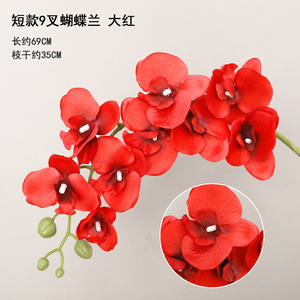 Hot bán thực tế mô phỏng phong lan gốc hoa nhân tạo trang trí đám cưới lụa phong lan cho trở lại trường học - Product Image 4