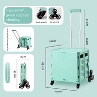 Chariot de courses familial portable en plastique durable, petit format, avec plateau pliable et roues pour escaliers, personnalisable OEM, chariots et chariotlettes