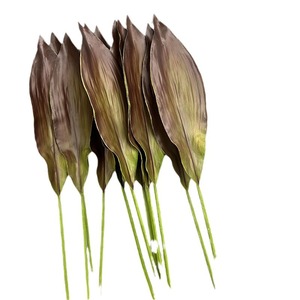 Feuilles d'<span class=keywords><strong>Aspidistra</strong></span> artificielles au toucher réel en PU, haute simulation, pour arrangements floraux et verdure de mariage - Product Image 5