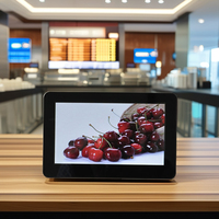 Precio de fábrica Monitor POS de pantalla de 7 pulgadas para tienda para exhibición de cliente de poste Cajero Pantalla de cara al cliente en sistema Pos minorista