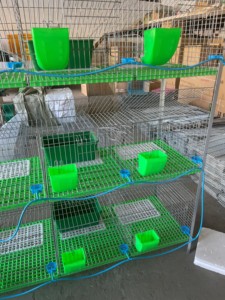 กรงกระต่ายสแตนเลสแบบคลาสสิกสามชั้น 12 ช่อง พร้อมถาดพลาสติก ปราศจากมูลสัตว์  อุปกรณ์ครบชุด ทนทาน ใช้งานง่าย - Product Image 4