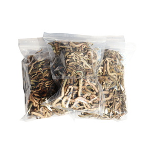 เหยื่อล่อปลาที่ดีที่สุด: เหยื่อล่อแห้งกุ้งหนอนเลือดสำหรับนักตกปลาในทะเล - Product Image 3