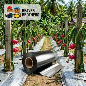 <span class=keywords><strong>Film</strong></span> de paillage agricole noir en PE résistant aux UV, prix usine, pour le contrôle <span class=keywords><strong>des</strong></span> adventices et une récolte plus abondante, provenant de Chine - Product Image 6